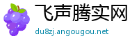 飞声腾实网